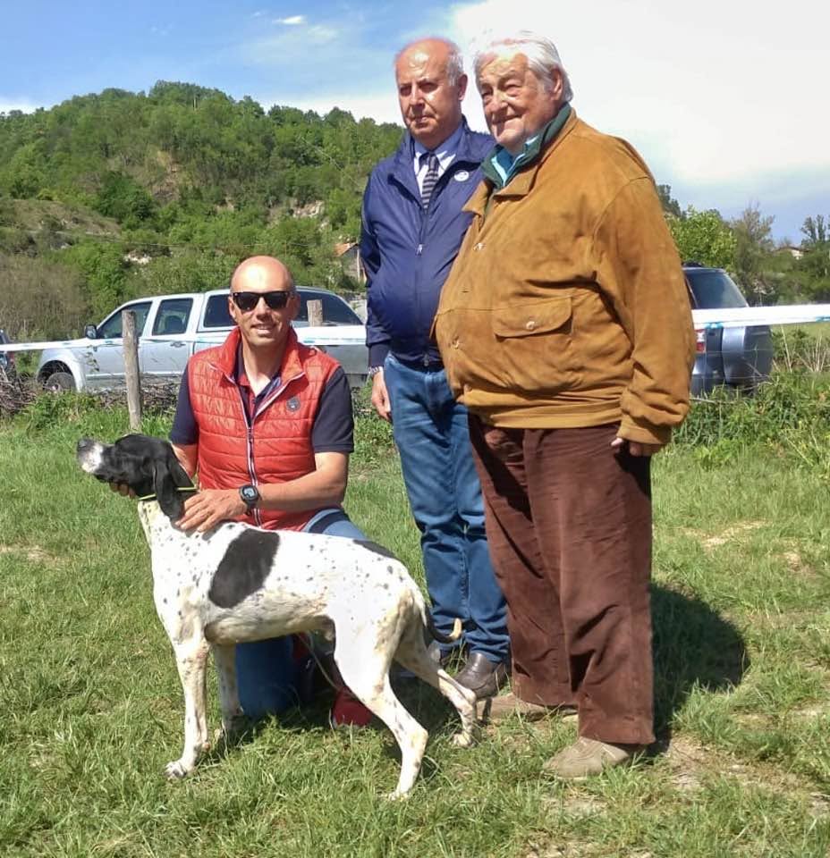 Foto d'archivio della Scuderia della Cervara con Pointer sul campo