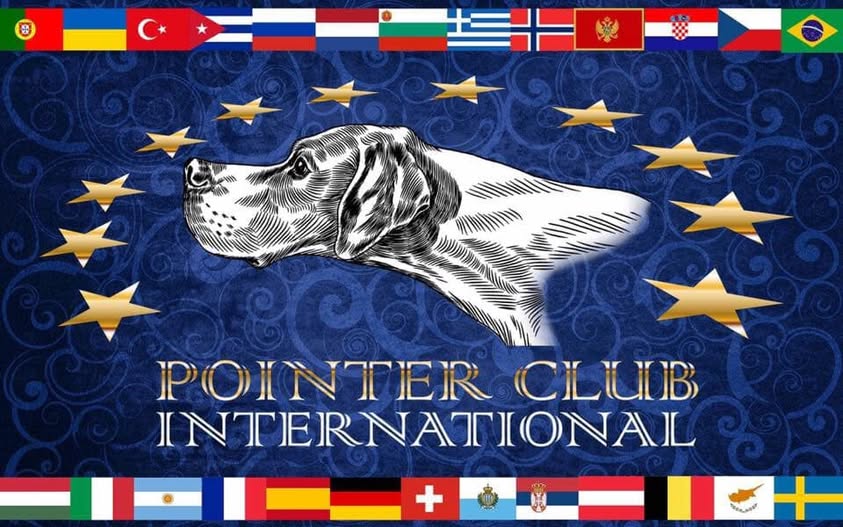 Pointer Club International, immagine dedicata alla razza Pointer
