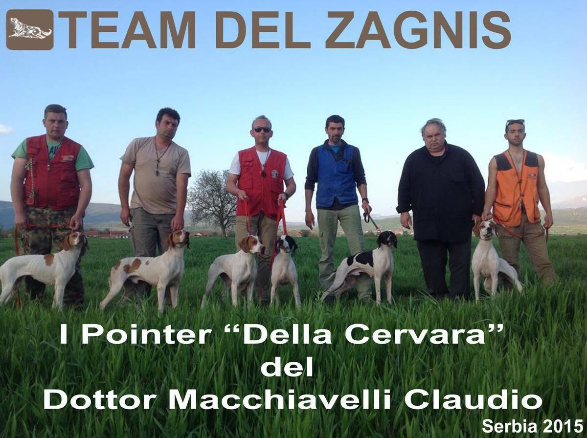 Team del Zagnis con Pointer della Cervara in Serbia nel 2015