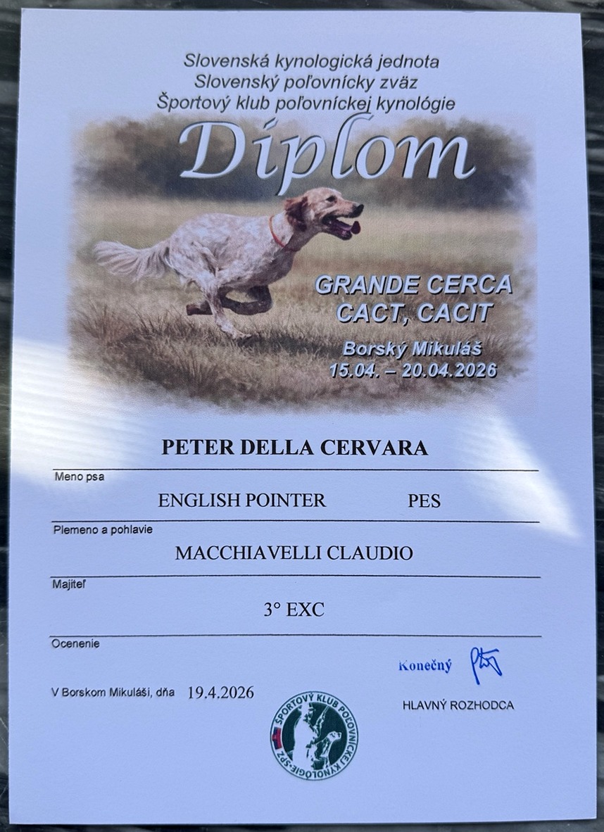 Peter della Cervara - Diploma 3 EXC 19 aprile 2026