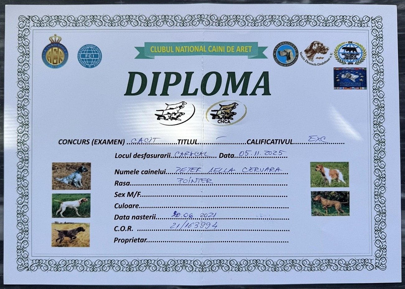 Peter della Cervara - Diploma Romania 2025