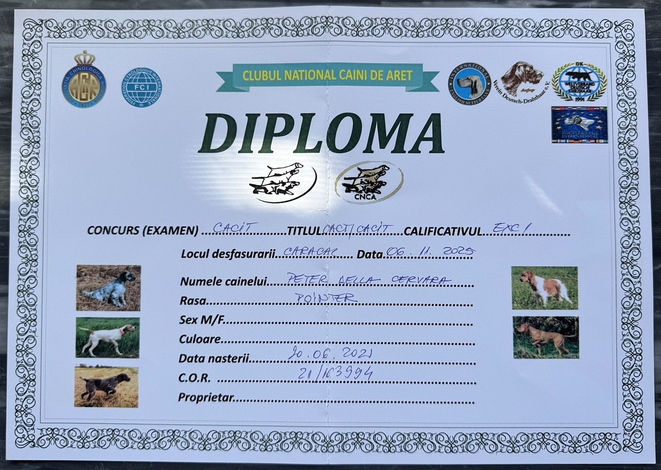 Peter della Cervara - Diploma Romania 6 novembre 2025